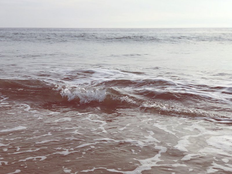 schooldag strand scheveningen