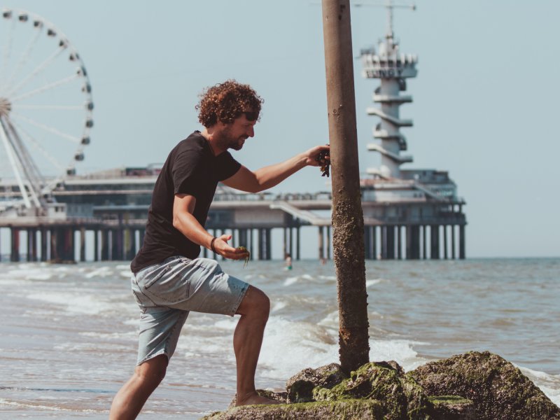 Seaweed walk